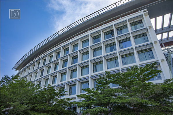 浮雕涂料圖片效果一覽